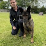 Garsy a Grey – Nové naděje Královéhradecké kynologie