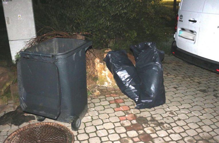 Zloděj myslel i na zeleninu