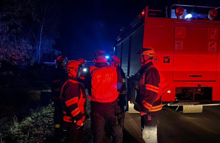 Pátráme po 11leté dívce
