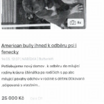 Nelegálním prodejem štěňat z množírny si vydělala přes 800 tisíc korun