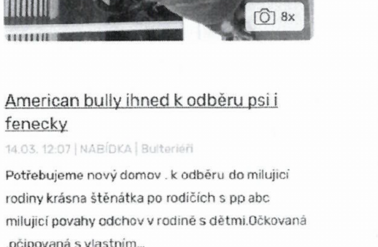 Nový typ podvodů