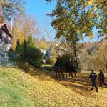 Policisté se psy i na koních kontrolovali chaty