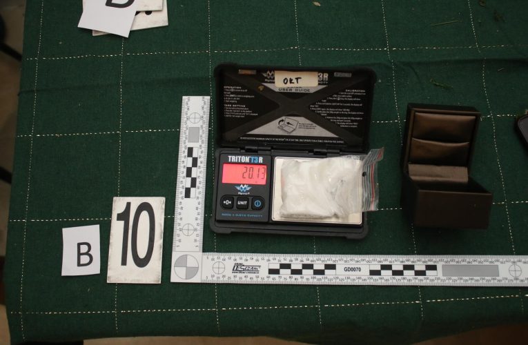 Kriminalisté dopadli distributorku drog