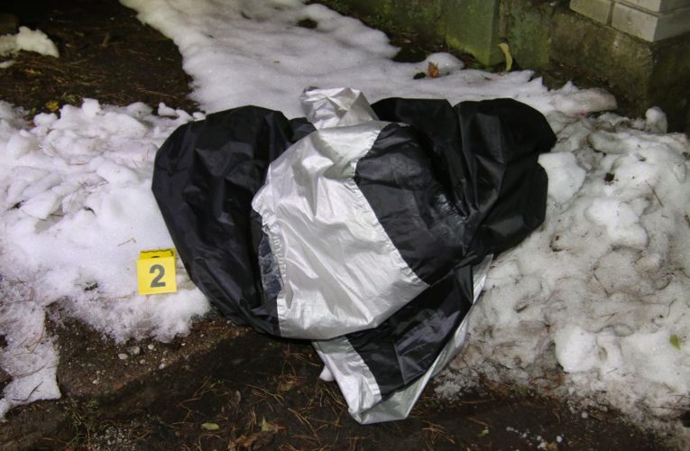 Pozor na kapesní krádeže na Litoměřicku