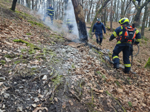 Opakovaně zapaloval les, pak se zdálky na požár díval a fotil si ho