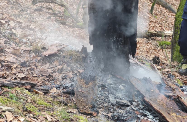 Vandal si myslel, že je umělec