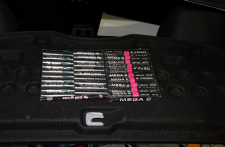 Při požáru chovné stanice na Karlovarsku uhynulo pět psů