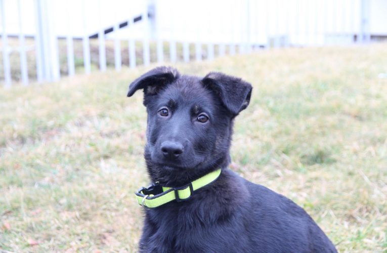 Muž hrozící sebevraždou