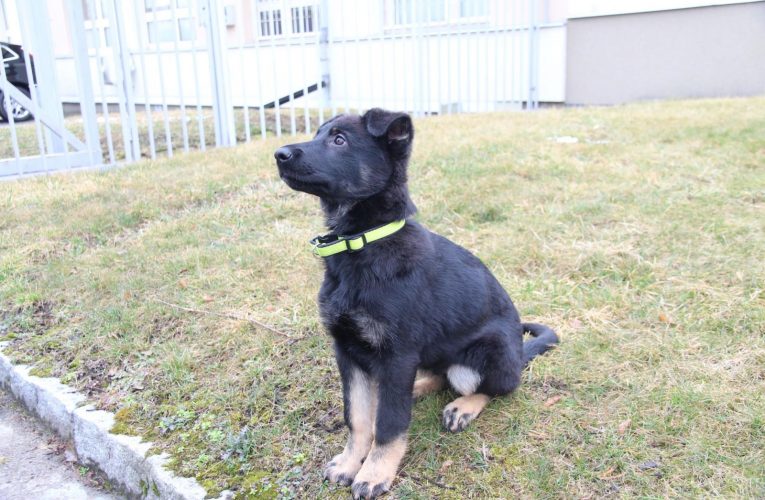 Pátráme po 40letém muži