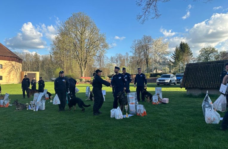 Nález staré munice