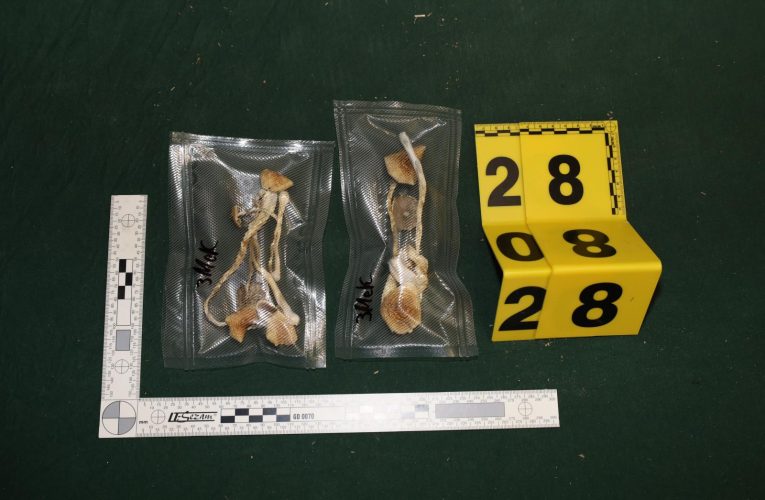 Prodejem drog si muž přivydělával