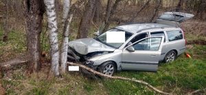 Řidič narazil do stromu