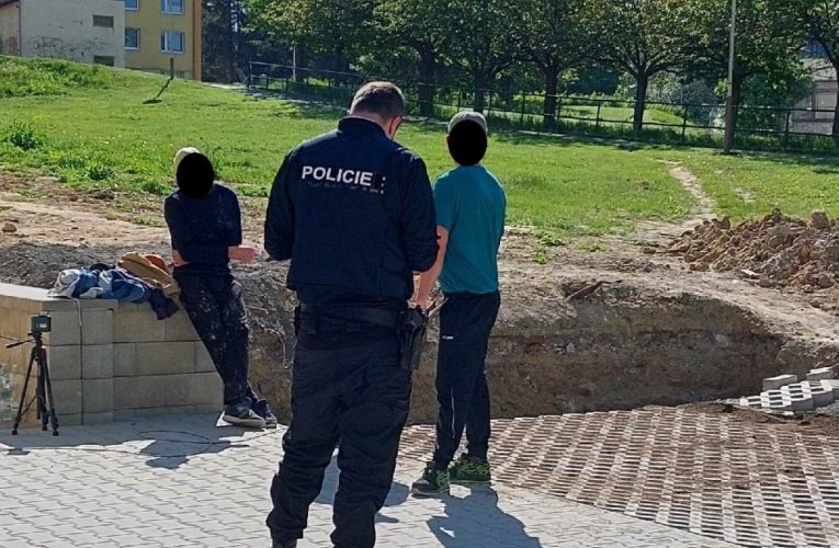 Cizinečtí policisté zamířili na Českolipsko