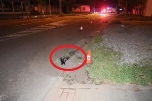 Hledáme svědky dopravní nehody