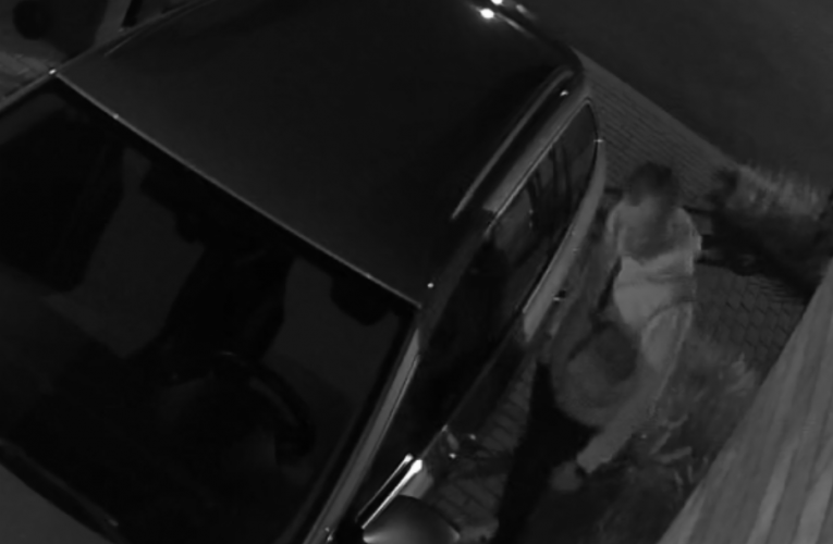 Krádež krátké střelné zbraně z vozidla