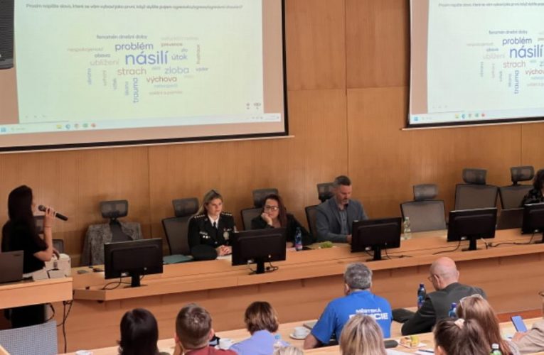 Pátrání po pohřešované