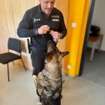 Psovodka s fenou Ornou oceněny za vypátrání pohřešovaného