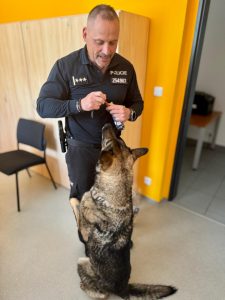 Psovodka s fenou Ornou oceněny za vypátrání pohřešovaného