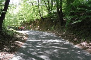 Senior se vážně zranil po pádu z elektrokola