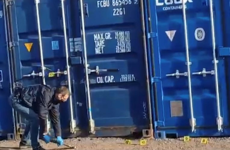 Zloděj na stromě a sklad plný lega