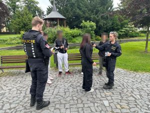 Bezpečnostní akce ,,SÍDLIŠTĚ“  ve Šluknově