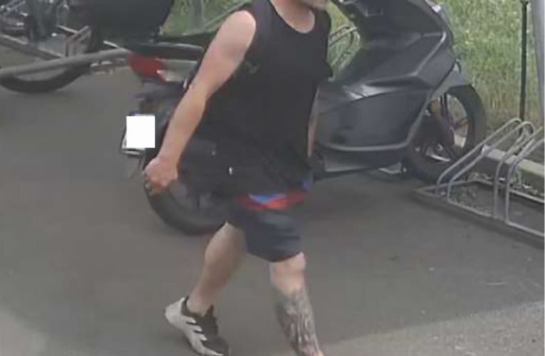 Dvojice kradla maso z jatek