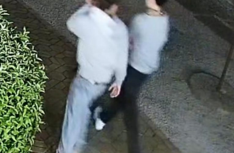 Postrach vloupání do rodinných domů v Ostravě byl dopaden