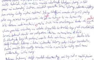 Mladík obviněn z propagace nacismu a nedovoleného nakládání s drogami