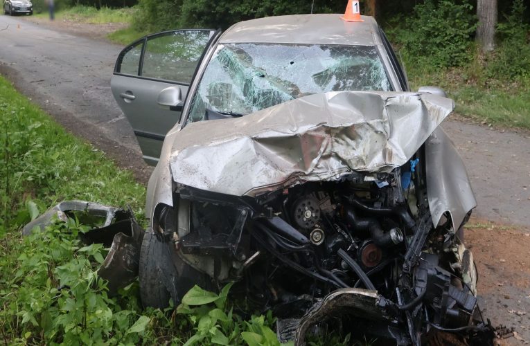 Policisté dohlíželi na Burčákový pochod