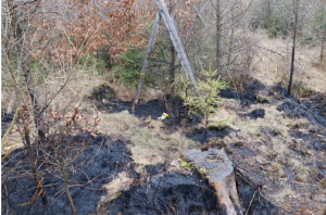 Objasnění požárů, vraždy, pokusů vražd a další trestné činnosti