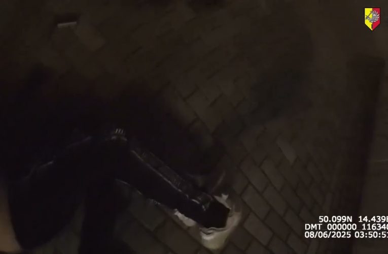 S lupem moc daleko neujel