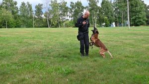 Další úspěch policejního psovoda a jeho čtyřnohého parťáka