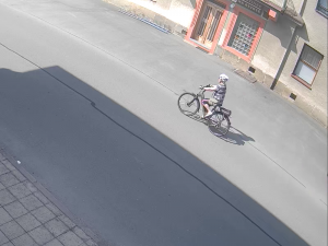 Důležitá svědkyně nehody