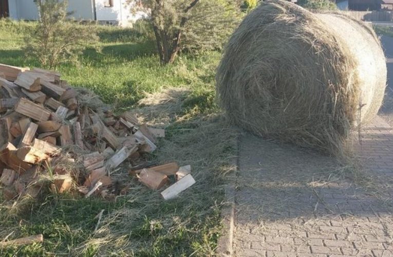 Kuriózní nehoda