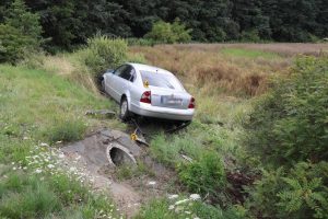 Na vině je sršeň, tvrdil řidič havarovaného vozidla