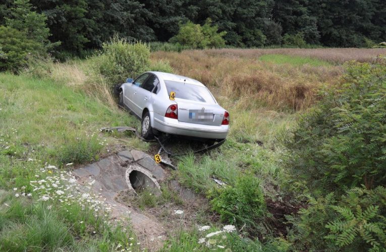 Na vině je sršeň, tvrdil řidič havarovaného vozidla