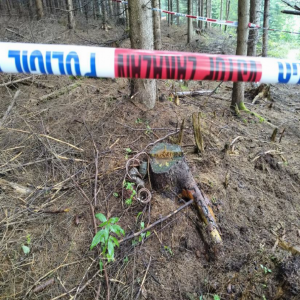 Nález munice v Heřmanovicích