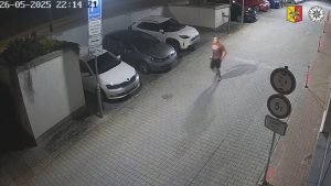 Napadení na Malé Ohradě