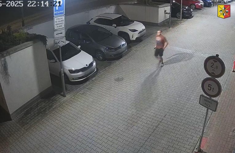 Napadení na Malé Ohradě
