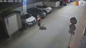 Napadení na Malé Ohradě