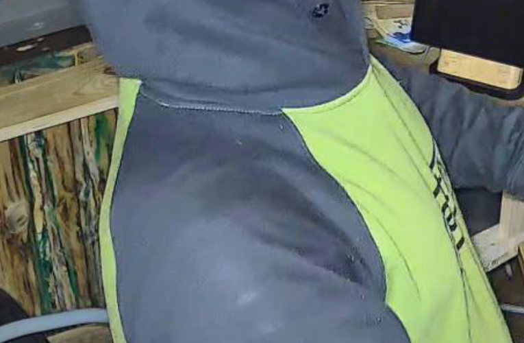 Noční výlet za dobrodružstvím