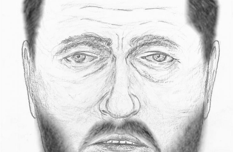 Řidič se vydával za bratra