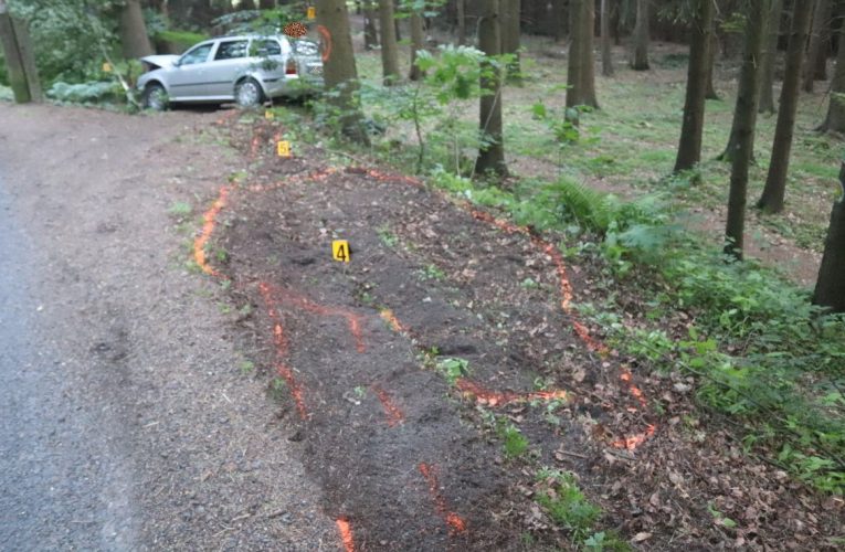 Pod vlivem alkoholu řidička nezvládla svou jízdu