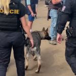 Policisté na mistrovství světa v motokrosu v Lokti