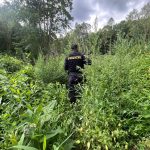 Policisté pohřešovaného muže nalezli
