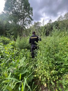 Policisté pohřešovaného muže nalezli