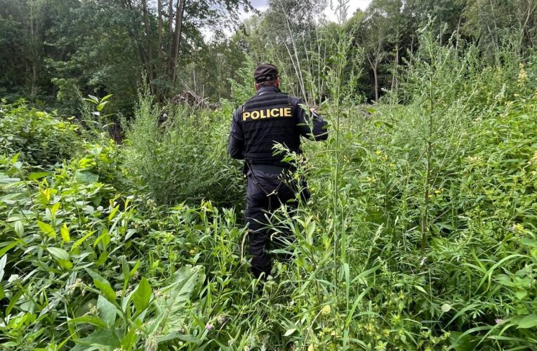 Policisté pohřešovaného muže nalezli