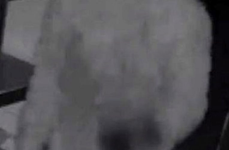 Řidič zemřel v nemocnici