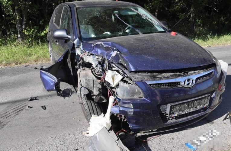 Slepice zavinila havárii hyundaie