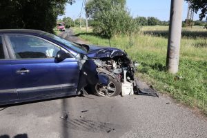 Slepice zavinila havárii hyundaie